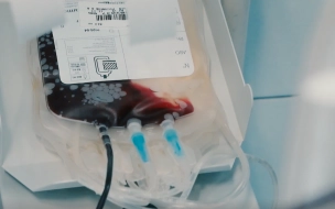 Петербуржцев приглашают сдать кровь для больниц