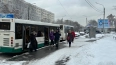 Трассы шести автобусных маршрутов в Петербурге изменят ...
