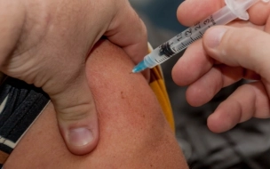Прививку от клещевого энцефалита сделали более 1,5 тыс. петербуржцев 