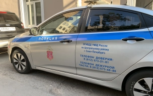 Полицейскими задержан петербуржец, который ударом отправил прохожего в реанимацию