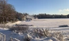 Высота снежного покрова в Петербурге достигла 45 сантиметров