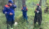 В Ленобласти с начала 2023 года в лесах потерялись более 600 человек