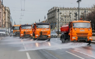 После майских праздников с петербургских улиц убрали 1300 кубометров мусора