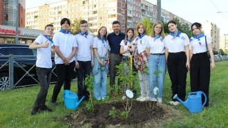 Петербургские активисты высадили более 2 тыс. деревьев и кустарников в рамках акции "Сад памяти"