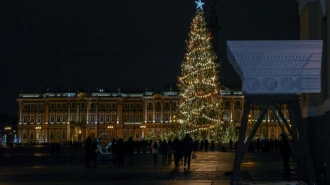 Покупка елей к Новому году обойдется Петербургу в 33 млн рублей