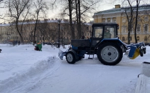В Петербурге расчистили от снега Александровский сад