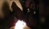 В Кирове подростки устроили пляски у "Вечного огня"