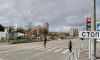 На Товарищеском проспекте в Петербурге установили светофор