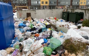К 2024 году в Петербурге и Ленобласти построят пять заводов по переработке мусора