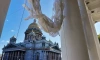 Воздух в Петербурге 31 марта прогреется до +15 градусов