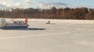 В Финском заливе с оторвавшейся льдины спасли 14 рыбаков