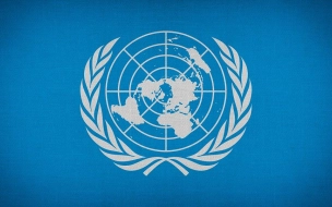Счетная палата подала заявку на аудит продовольственной программы ООН