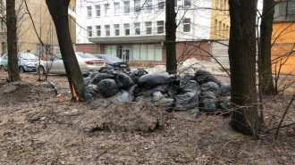 На Таллинской улице заметили пакеты с листвой. Сезон давно закончился