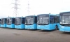 Новые лазурные автобусы вышли на маршрут №295