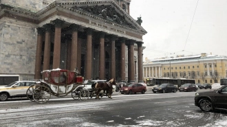 24 декабря в Петербурге ожидается мокрый снег