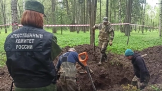 Останки 11 человек нашли в парке "Сильвия" в Гатчине