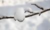 В Петербурге 28 января ожидается небольшой снег и гололедица