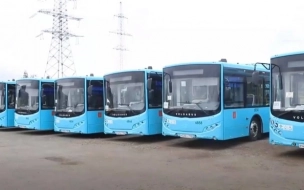В Петербурге выделят 30 участков под стоянки автобусов 