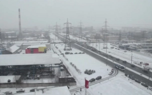Синоптик пообещал петербуржцам снежный Новый год