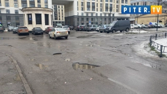 В Петербурге 29 февраля ожидается без существенных осадков