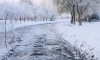 В Петербурге и в Ленобласти сегодня выпали осадки в виде ледяного дождя