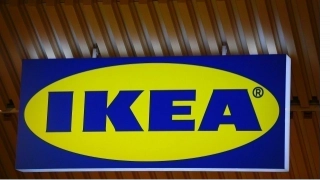 Фабрика IKEA в Тихвине сократит штаб вдвое и начнет работу 1 сентября