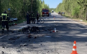 Аварией с пятью погибшими в Ленобласти займется военное следствие