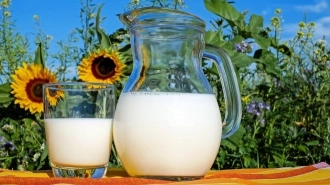 В школах Ленобласти детям начали давать местное молоко