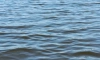 Шестилетняя девочка утонула в Гореловском озере