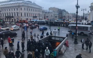 В Петербурге рассматривают первое уголовное дело об избиении полицейских после протестных акций