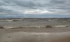 Полицейские нашли тело работника плавучего крана на берегу Финского залива