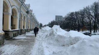 Вишневский: денег на уборку снега в Петербурге не хватает из-за многомиллионных трат на Мариуполь