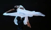 В Александринке состоится гала-концерт звезд оперы и балета