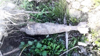 В Ленобласти взрывотехники ОМОН обезвредили боеприпас времён войны
