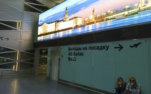В Пулково из-за сбоя бортового компьютера застряли более 200 пассажиров