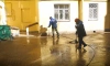Петербуржцы могут оценить весеннюю уборку в своем районе