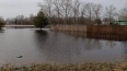 Уровень воды в реке Тихвинского района приблизился ...