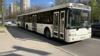 В Петербурге усилят движение общественного транспорта на нескольких маршрутах