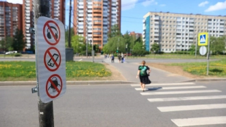 На нерегулируемых пешеходных переходах в Петербурге установят специальные знаки