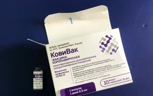 В Петербурге около 1,7 человек завершили вакцинацию от коронавируса