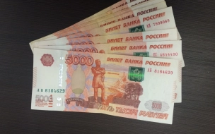 В Ленобласти школьный бухгалтер  похитил почти 3 миллиона рублей, обманув учителей