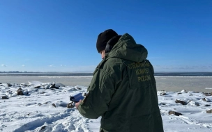 После гибели детей на Финском заливе возбудили уголовное дело по статье "Убийство"