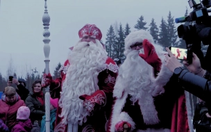 Роспотребнадзор Петербурга рассказал, как принимать у себя Дед Мороза и Снегурочку
