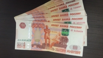 Смольный направит 500 тыс. рублей на займы самозанятым бизнесменам