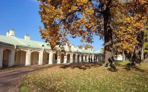 В Петербург пришло бабье лето