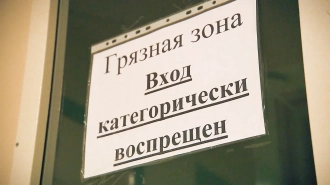 В Петербурге за неделю выявили на 31% меньше новых заразившихся коронавирусом