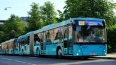 За время ЕВРО-2020 петербургские автобусы-шаттлы перевез...