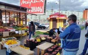 В Петербурге от незаконных торговых точек освободили более 20 участков