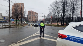 Сотрудники Госавтоинспекции Петербурга проведут очередной рейд "Нелегальное такси"