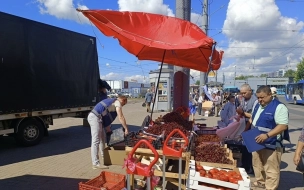 Более тонны фруктов, ягод и овощей изъяли в Петербурге за две недели
